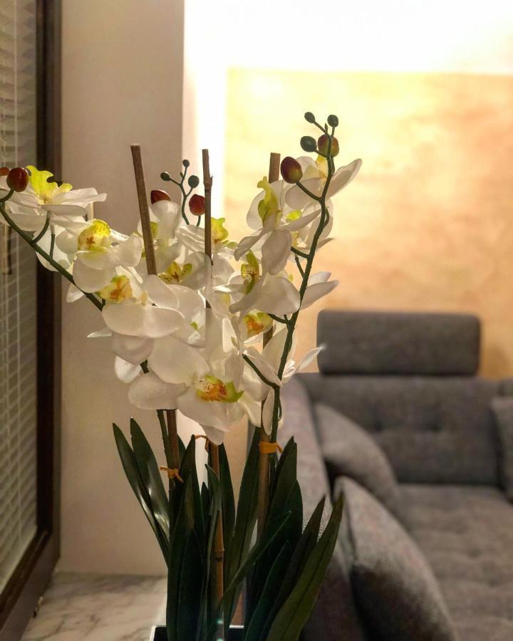 Apartment Landscape Zgornje Gorje Екстериор снимка